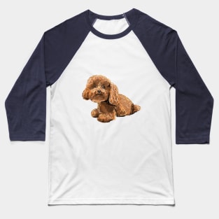 Poodle Baseball T-Shirt